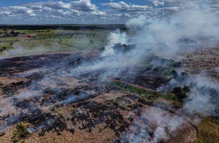 Deforestation in Brazilian Amazon falls to lowest level since 2019