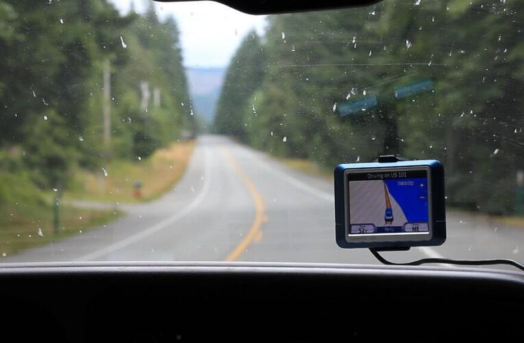 Count the dead bugs on your windshield and contribute to science