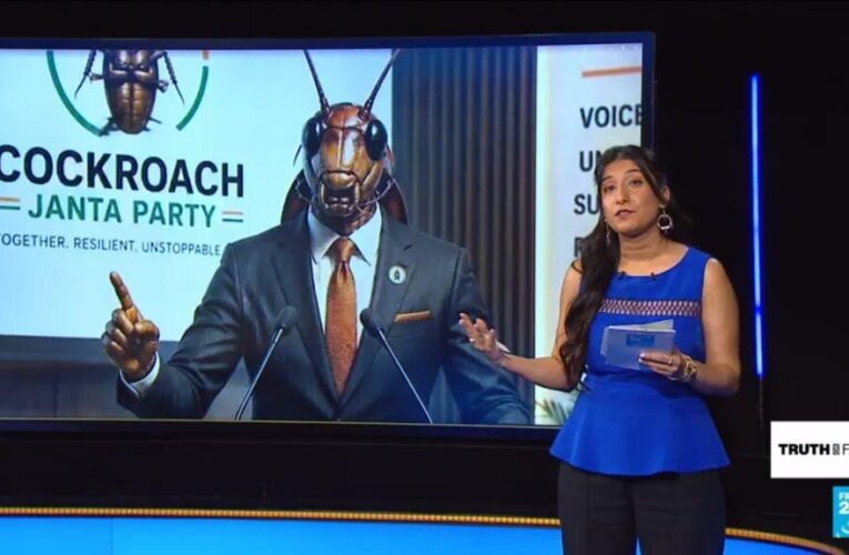 Cockroach Janta Party: India’s youth turn judge’s jab into viral political movement