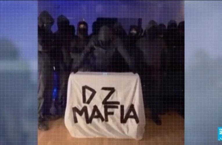 France hopes for cooperation with Algeria to tackle DZ Mafia criminal organisation