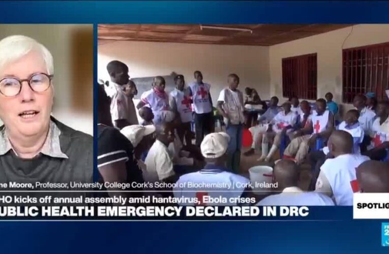 Damage control over prevention: International health system ‘closing gaps instead pushing forward’