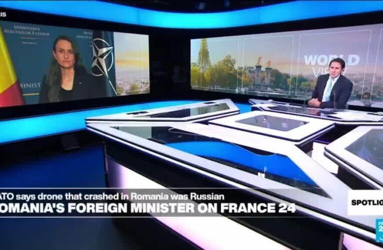 Romania hit by drone strike: Foreign Minister speaks to FRANCE 24