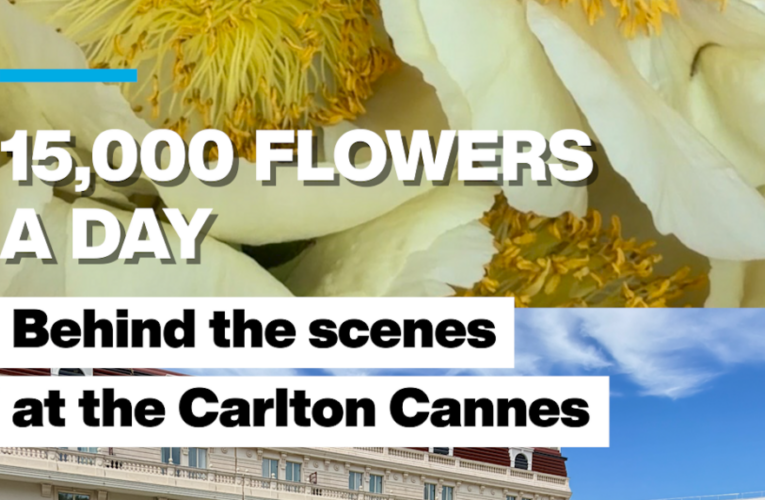 15,000 flowers a day: Behind the scenes at the Carlton Cannes