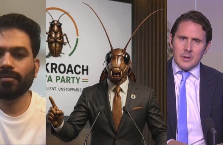 Cockroaches in power ? From a parody movement to real political hopes