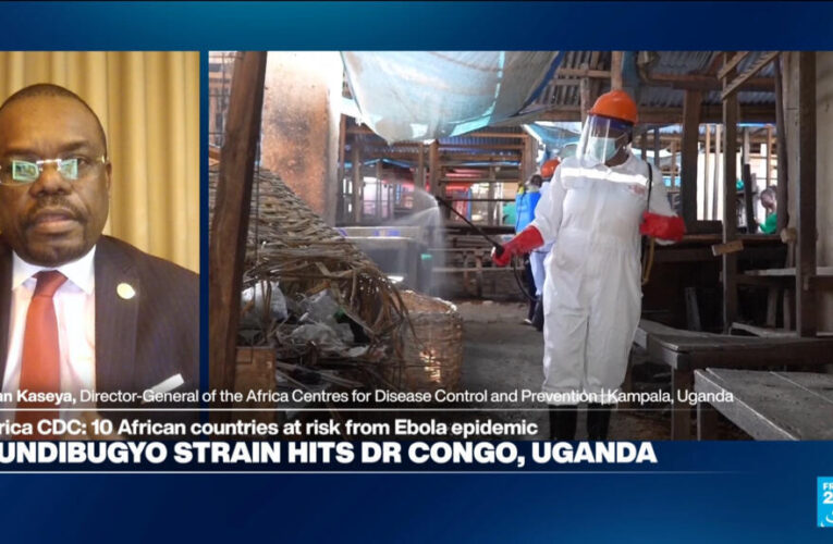 Ebola epidemic: Ten African countries at risk