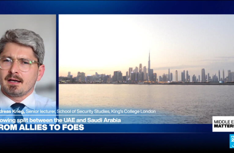 ‘Cold, pragmatic relationship’: UAE-Israel ties driven by defence and technology