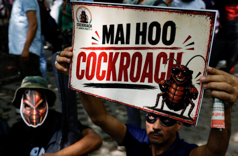 Supporters of India’s Gen Z ‘cockroach’ party stage first protest in New Delhi
