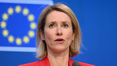 Kallas proposes EU naval mission for Hormuz