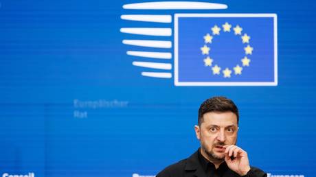 Zelensky ‘doesn’t deserve’ EU’s highest award – MEPs
