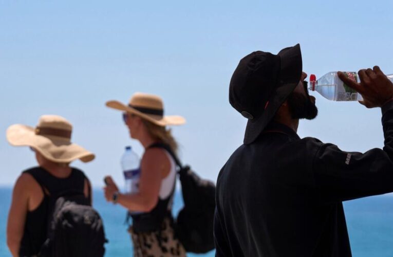 More than 1,300 excess deaths linked to record-breaking Europe heatwave, WHO says