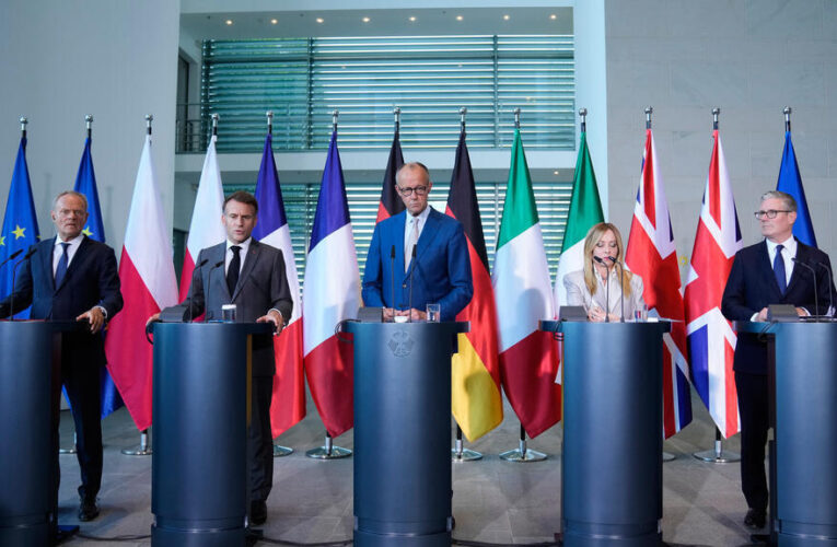 Europe leaders reaffirm unity on defence ahead of Ankara NATO summit