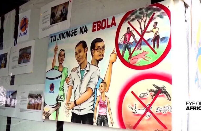 Ebola cases reach more than 500