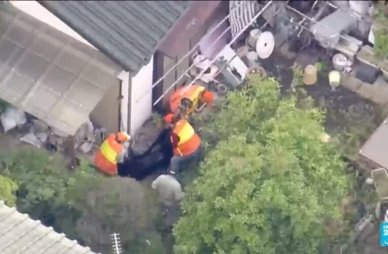 Bear captured in Japan after multi-day search as attacks rise