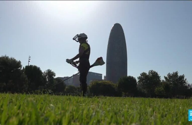 Reduced hours and ‘climate leave’: How Spain has adapted to heatwaves
