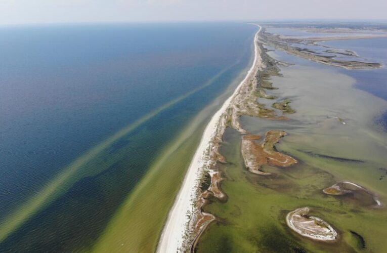 Has Russia given up on Kinburn Spit, its westernmost foothold in Ukraine?