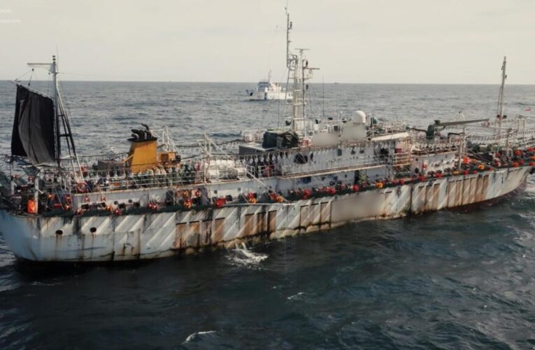 Squid fleets exposed: Investigation reveals illegal fishing and forced labour