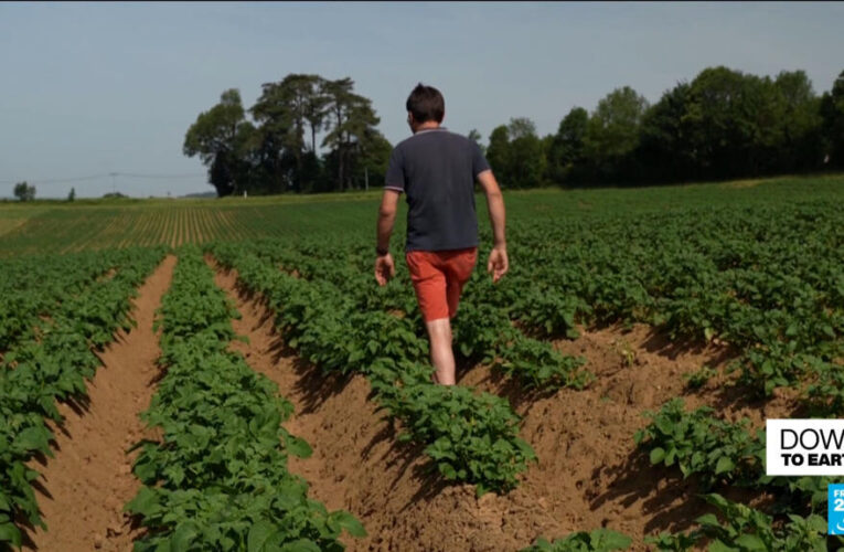 French co-op on a mission to prove organic farming can feed the world