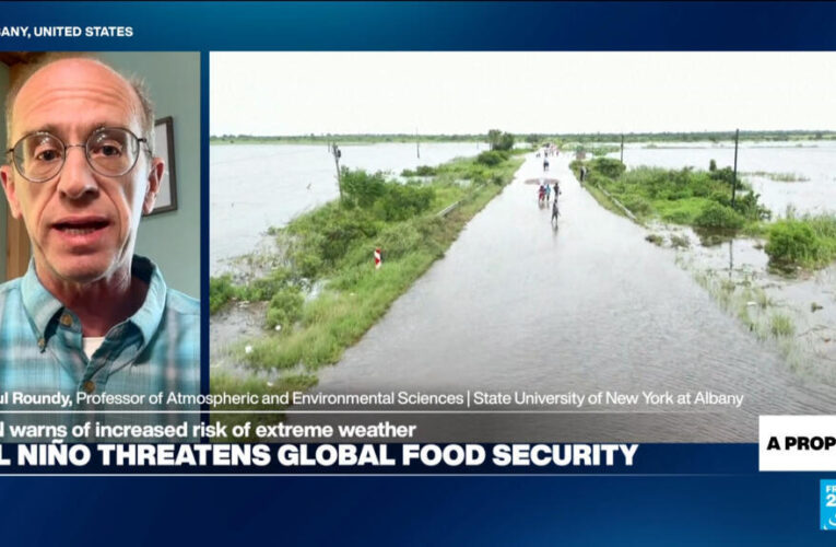 Models suggest amplitude of El Niño in 2026 ‘as high or higher than any event in last century’