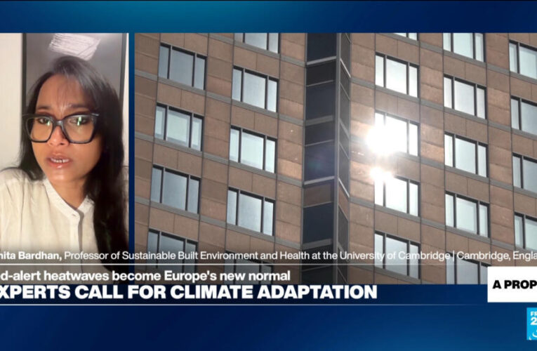 ‘Architecture, city design a frontline of defense’ against heatwaves, expert says