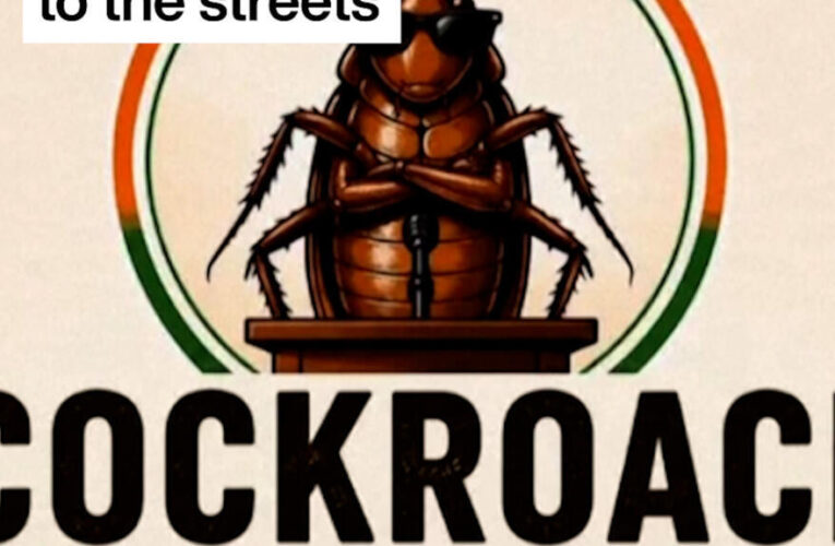 India: Viral ‘Cockroach’ party to take message to the streets