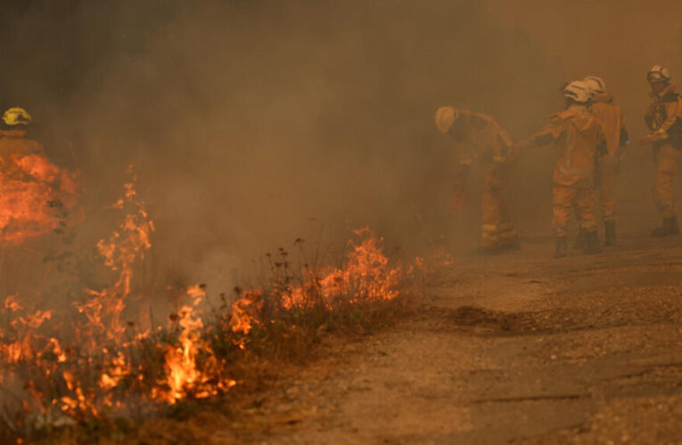 Bordeaux under threat as France and Spain battle ‘unprecedented’ wildfires