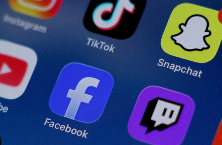 France could become first EU country to ban social media for under-15s