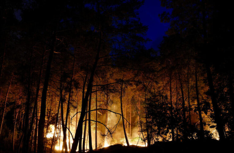 Fontainebleau forest near Paris hit by ‘very virulent’ wildfire