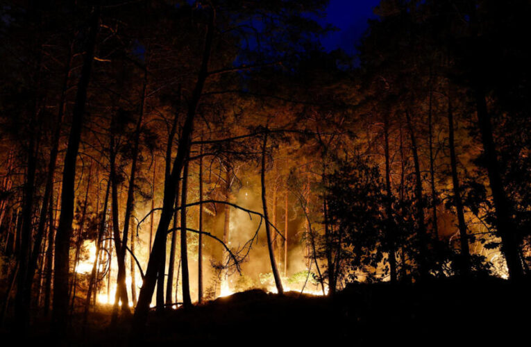 Blaze burns through ‘lungs of greater Paris’ Fontainebleau forest