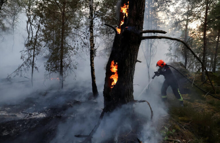 More than 1,900 hectares of Fontainebleau forest near Paris destroyed by wildfires