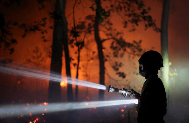 Firefighters battle flames in Fontainebleau historic forest