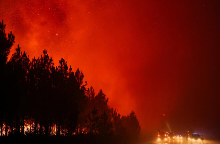 Fires in France: 42,000 hectares burnt, 220,000 people evacuated