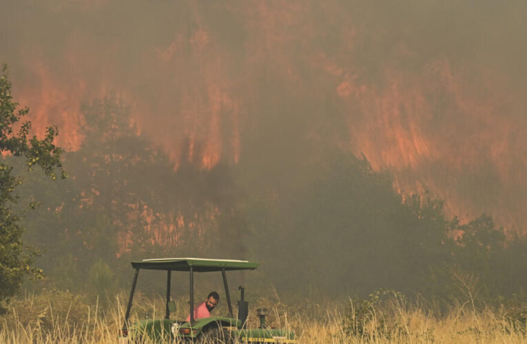 Wildfire kills 12 in southern Spain as victims found in vehicles