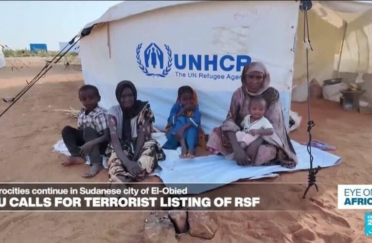 European Parliament calls for terrorist listing of Rapid Support Forces in Sudan