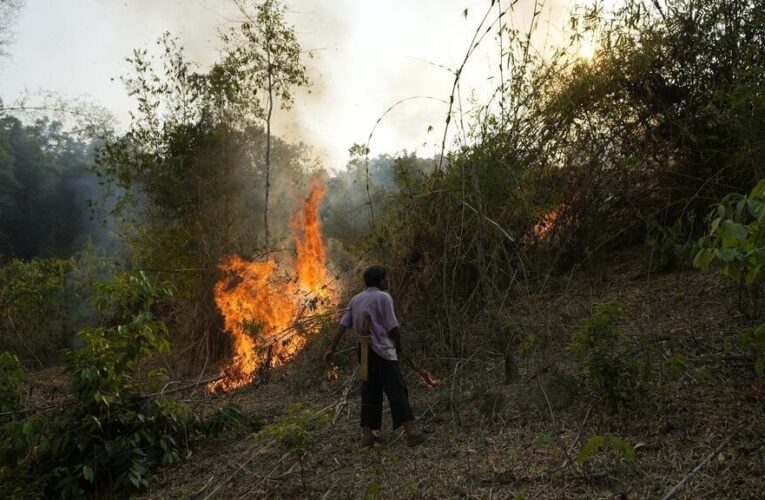 ‘Whenever biodiversity decays, you decay’: French biologist Marc-André Selosse