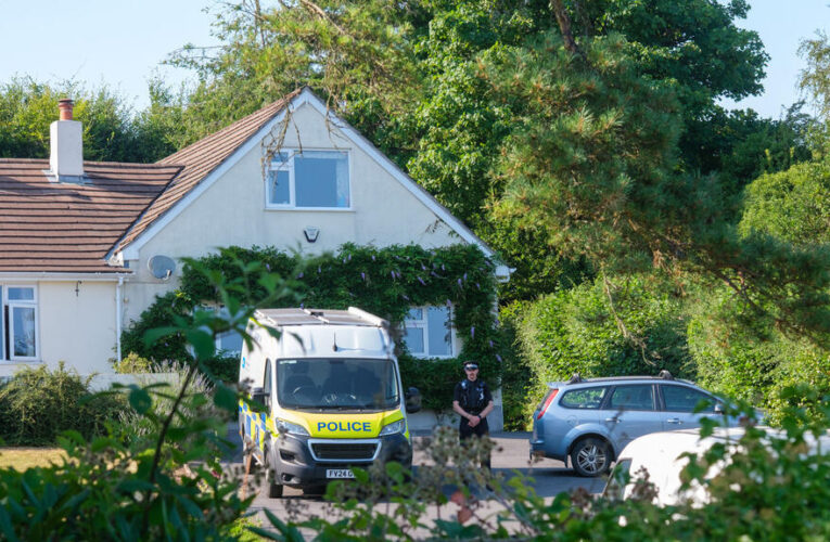UK police says no evidence of political motive in murder ​of former minister Widdecombe