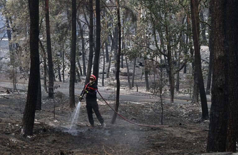 Fire reignites in Fontainebleau forest as investigation continues