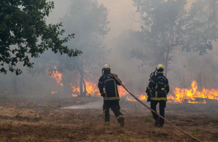 Live: France orders evacuations near Bordeaux as wildfires sweep through southwest