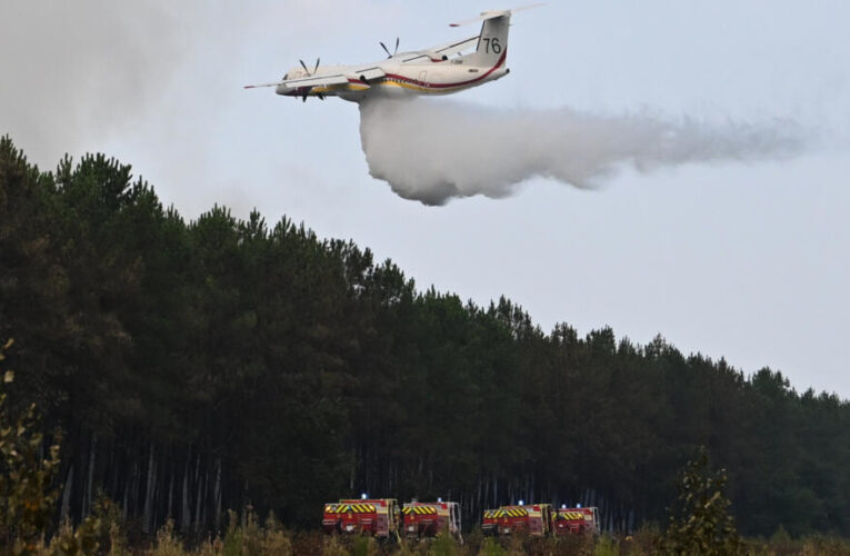 Bad news for Bordeaux: France’s celebrated wine industry faces wake-up call over wildfires