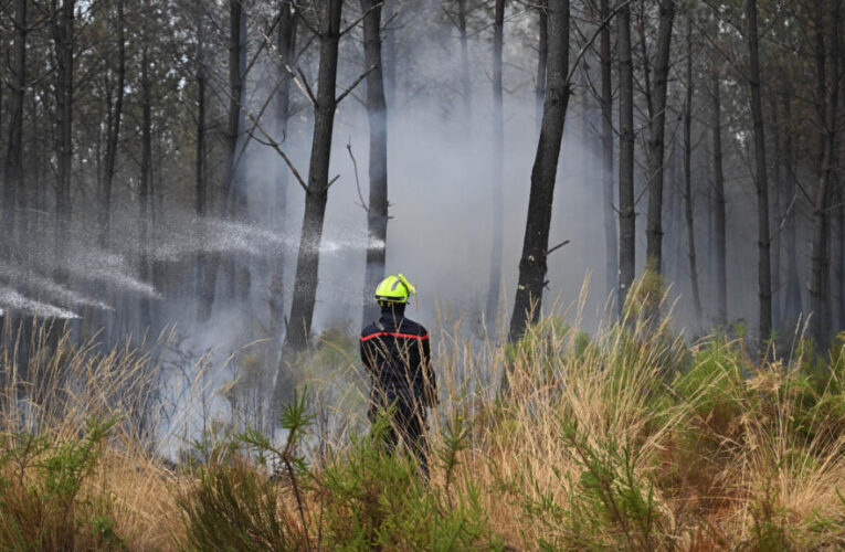 Monster fires spark debate over France’s forest management