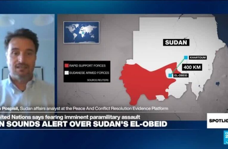 ‘Not a proxy war’: Sudan civil war ‘would not go on like this’ without role of international players