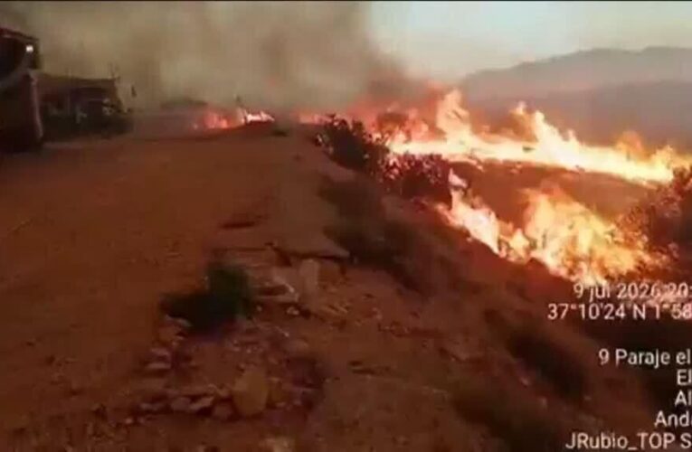 Wildfires rage across Spain as heatwave fuels flames