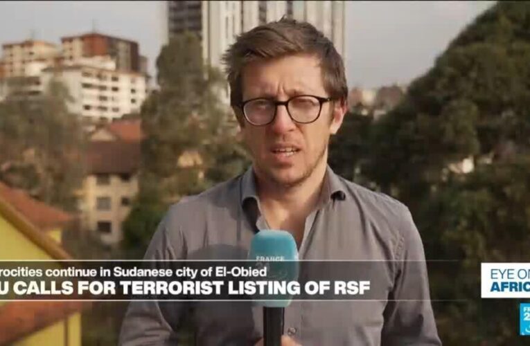 Sudan: EU calls for terrorist listing of RSF