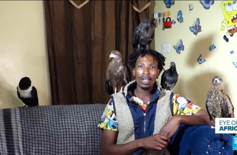 Kenya’s “Birdman” goes viral with rescued birds — and sparks health concerns