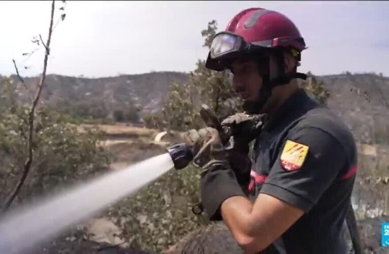France – Wildfires: 1,500 evacuated from campsites near Perpignan
