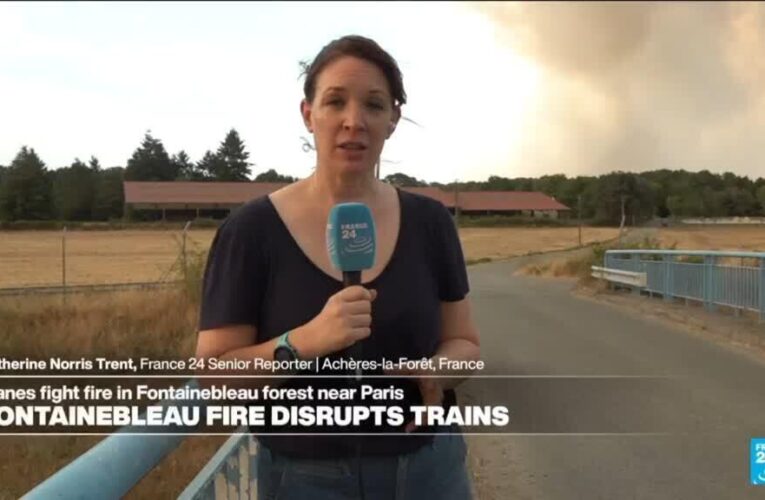 Two arrested as Fontainebleau forest near Paris ravaged by fire, prompting evacuations