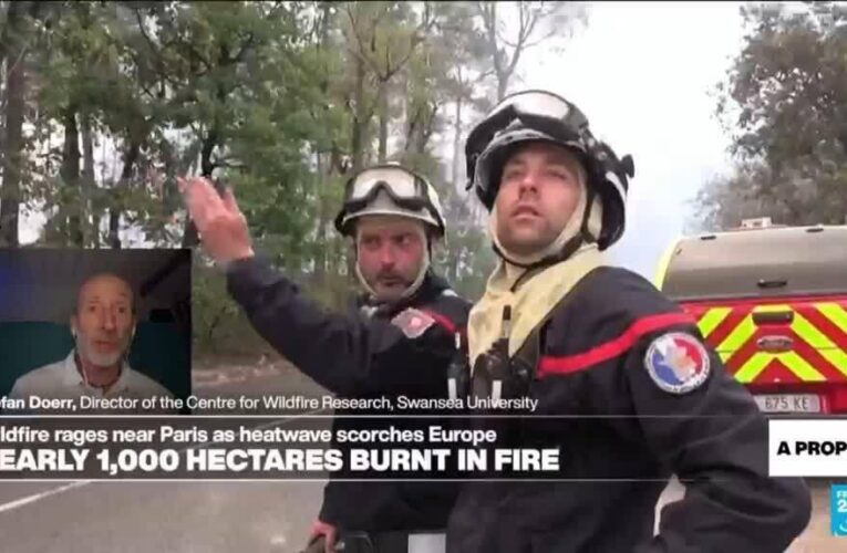 ‘We will never eliminate the risk of fire completely’, expert says as wildfire rages south of Paris