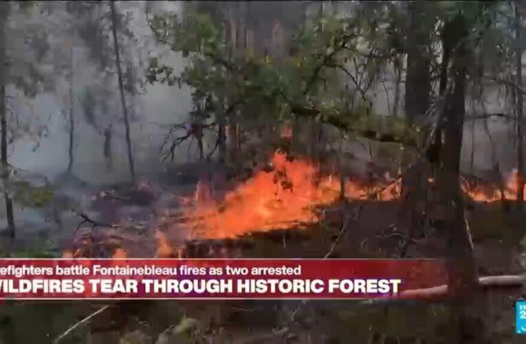 France: Wildfires tear though historic forest of Fontainebleau near Paris