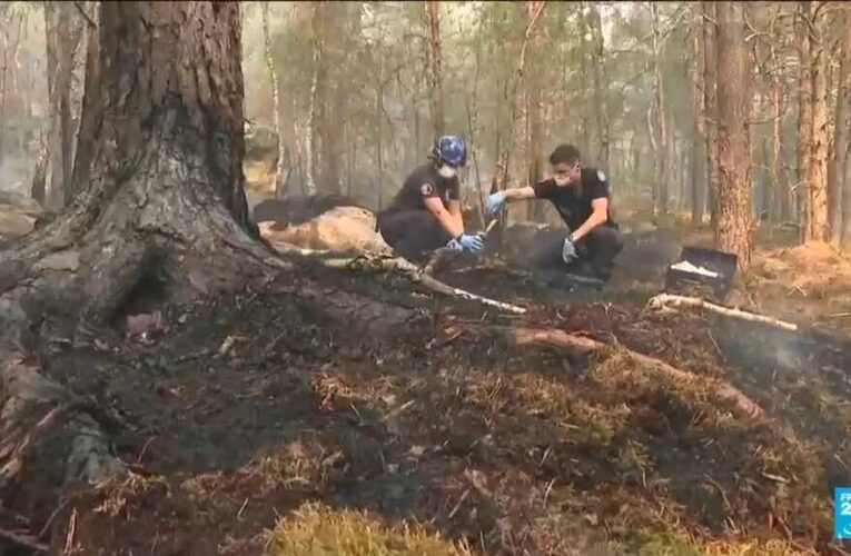 Volunteer firefighter admits to starting a fire in the Fontainebleau forest
