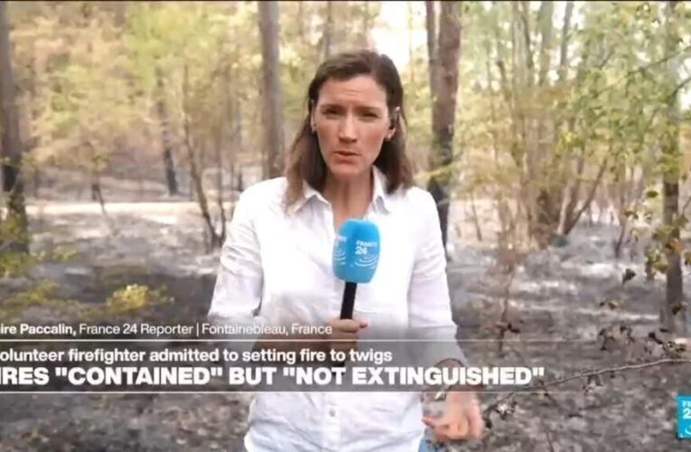Shock and solidarity after wildfires ravage Fontainebleau