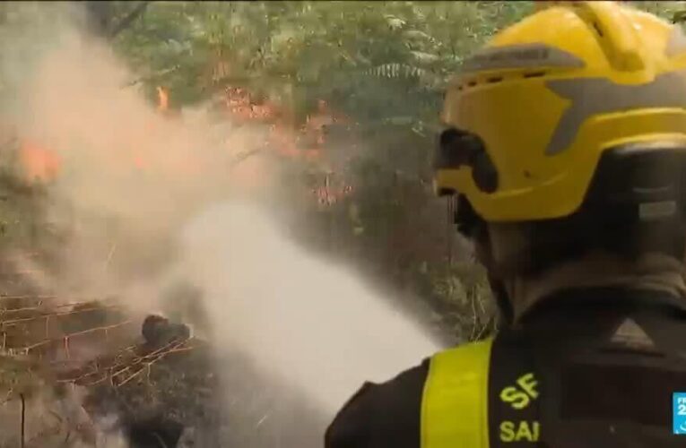 Firefighters battle ‘contained’ Fontainebleau forest fire near Paris amid arson probe